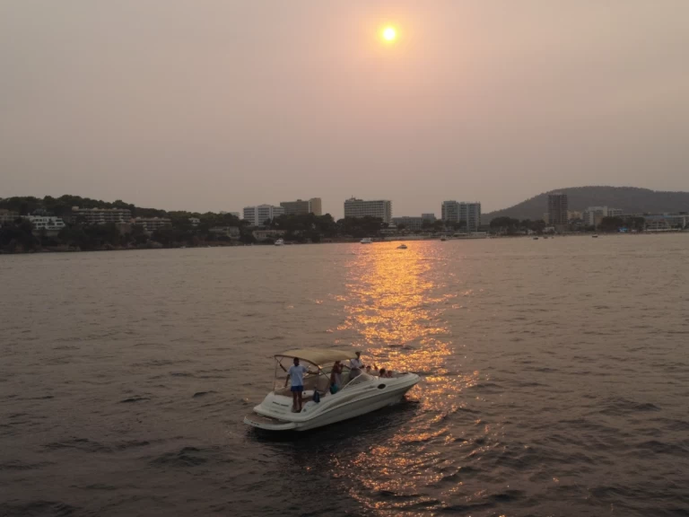 Wynajem w Palma de Mallorca- Sea Ray Sea Ray 240 Sundeck na SamBoat