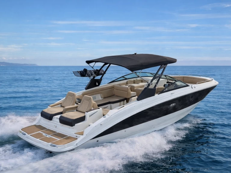 Wynajem Motorówka Sea Ray z patentem 