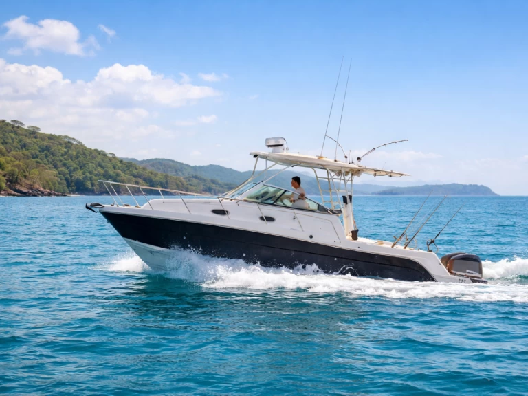 Wynajem Motorówka Robalo z patentem 