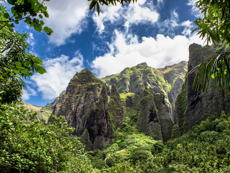 Wynajem łodzi Alubat Ovni 43 w La Paz na SamBoat 