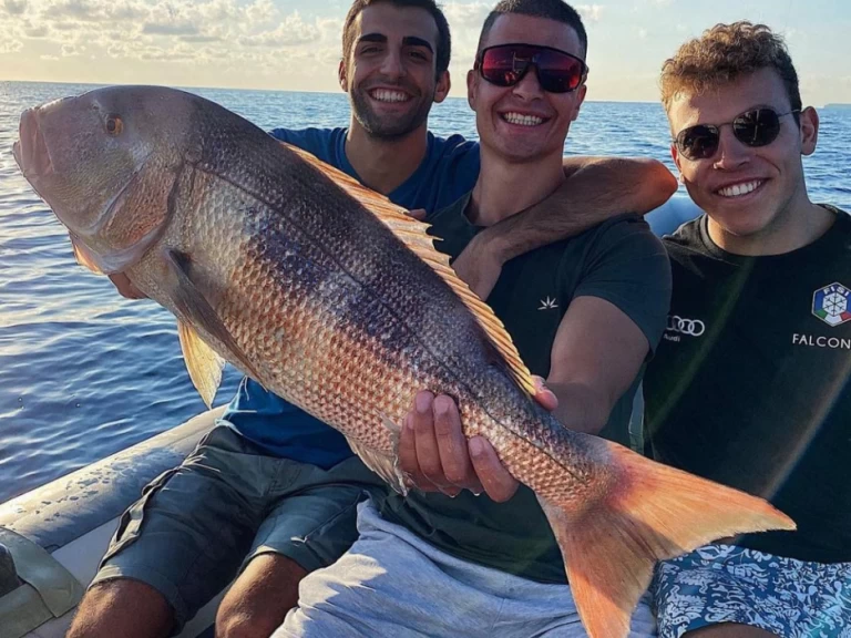 Wynajem Motorówka Saver 33 z patentem 