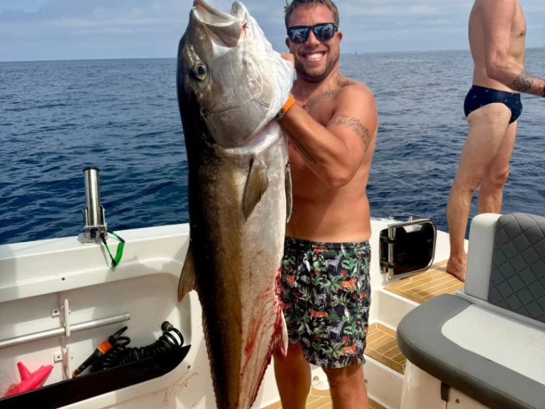 Motorówka do wynajmu w Marina di Portisco w najlepszej cenie