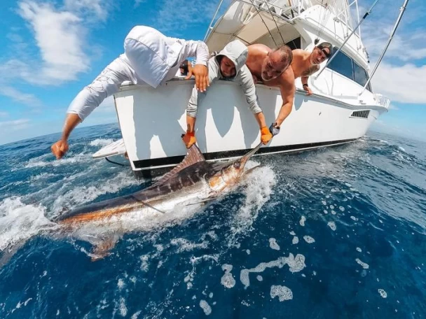 Wynajem łodzi Viking Viking 50 w Marina Papagayo na SamBoat 