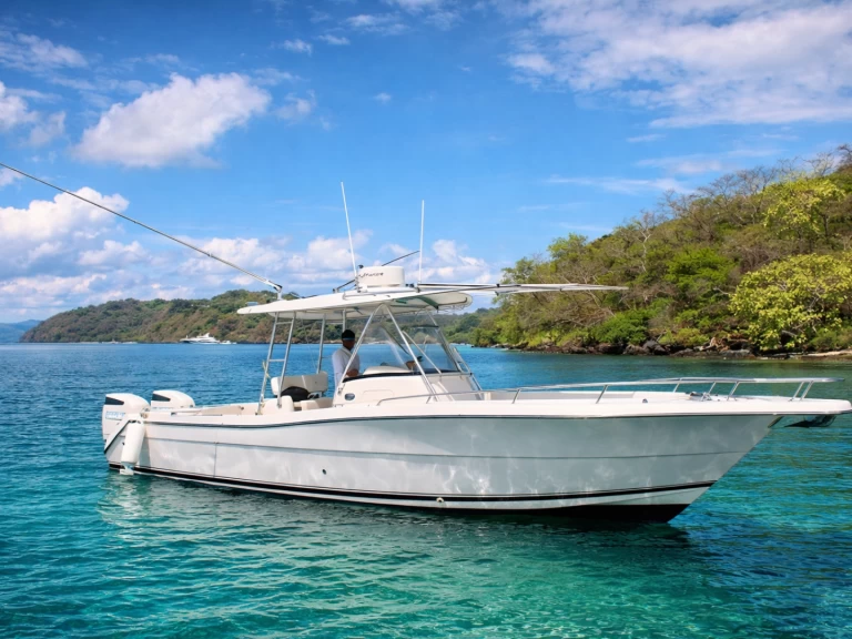 Pursuit Pursuit 32 między profesjonalistami a osobami prywatnymi w Coco Bay