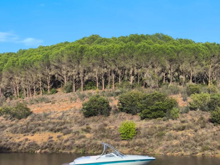 Wynajem łodzi Ferragudo tanio SSV 215