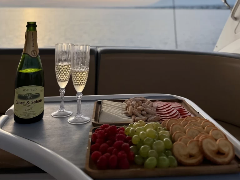 Princess v45 między profesjonalistami a osobami prywatnymi w Marbella