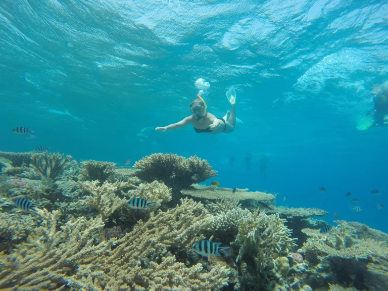 Wynajmij  Custom Built  444 w Sharm el-Sheikh