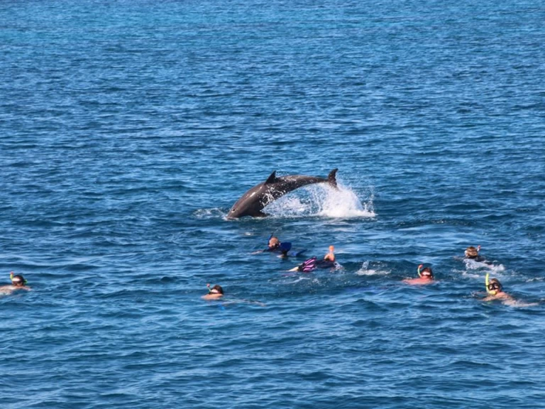 Wynajem Luksusowy jacht  z patentem 