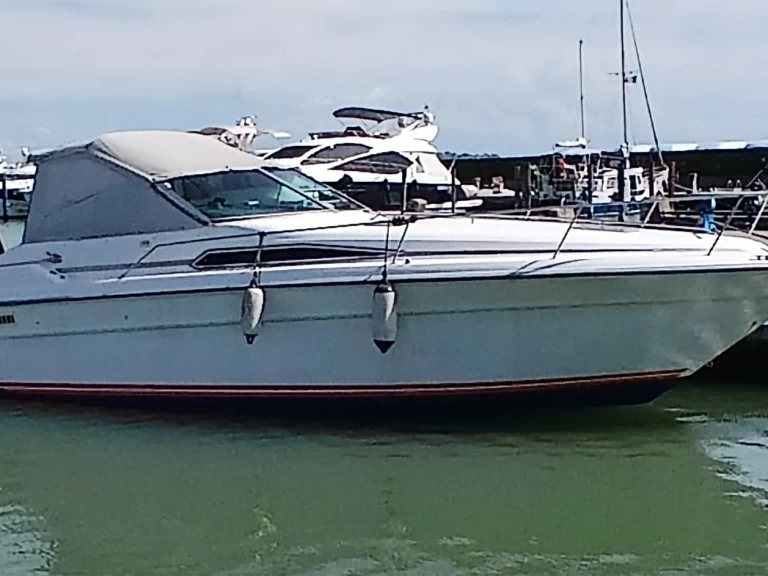 Wynajem Luksusowy jacht w Venice - Sea Ray Sea Ray 310 Express