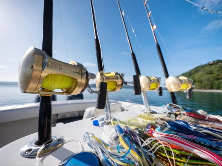 Motorówka do wynajmu w Coco Bay w najlepszej cenie