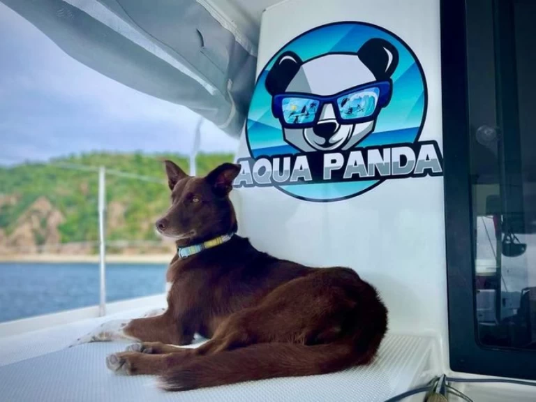 Wynajem Katamaran w Kingstown - Fountaine Pajot Lucia 40