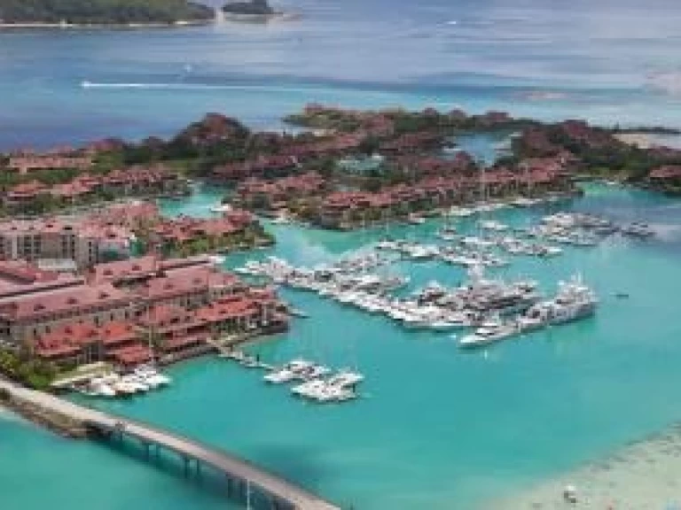 Sea Tribe Yachts Sea-Tribe DH550 między profesjonalistami a osobami prywatnymi w Mahé