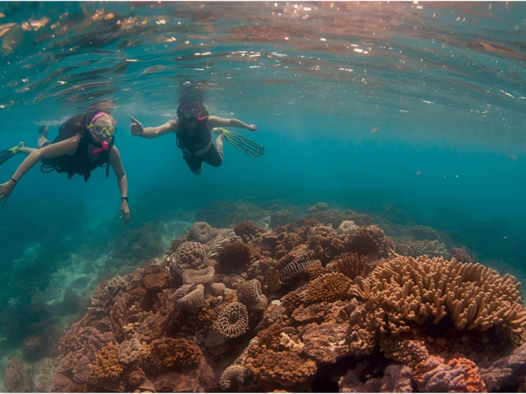 Wynajem Motorówka w Punta Cana - Custom Custom