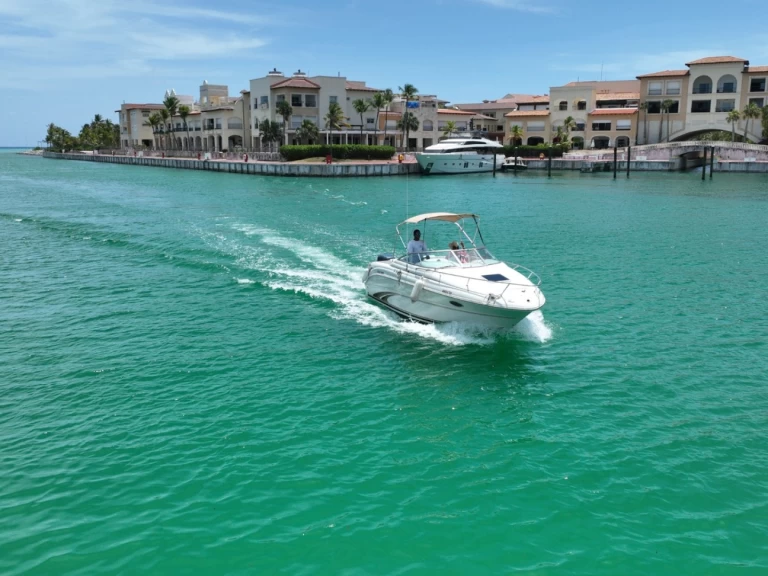 Wynajem Motorówka Custom z patentem 