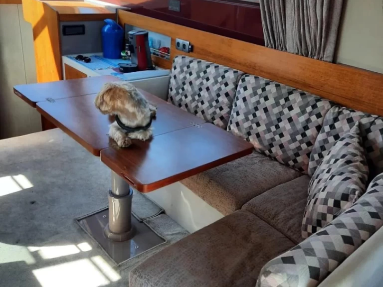 Wynajem Motorówka w Pula - Riva rivarama 44