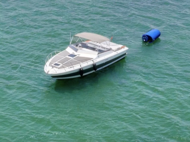 Sirena 42  między profesjonalistami a osobami prywatnymi w Miami Beach