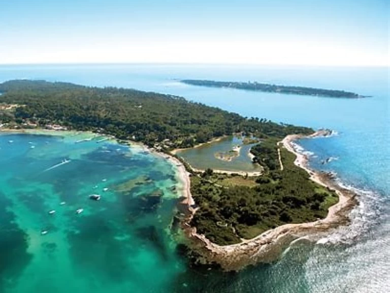 Wynajem łodzi Cannes tanio Targa 42