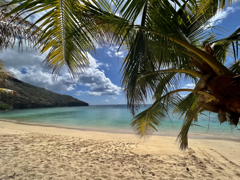 Wynajem Żaglowiec Pogo Structures z patentem 