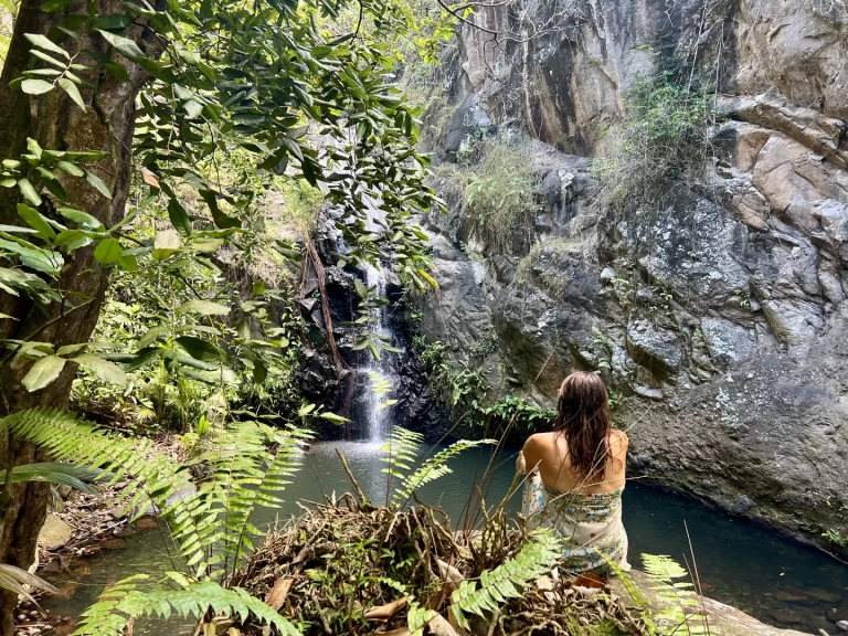 Wynajem łodzi Pogo Structures Pogo 12.50 w Hiva-Oa na SamBoat 