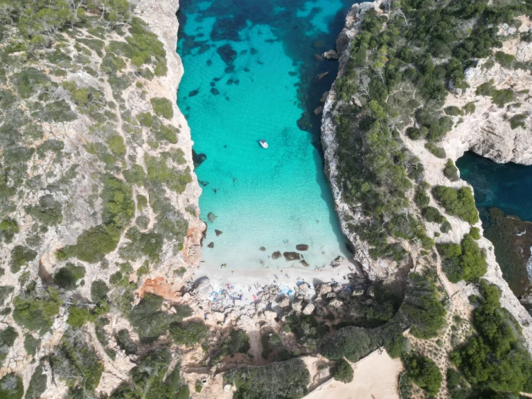 Protender Xs 470 między profesjonalistami a osobami prywatnymi w Cala Figuera