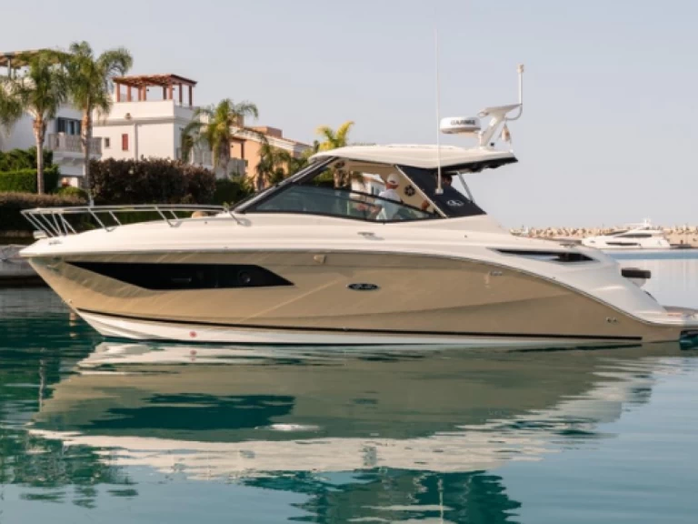 Wynajem Motorówka Sea Ray z patentem 