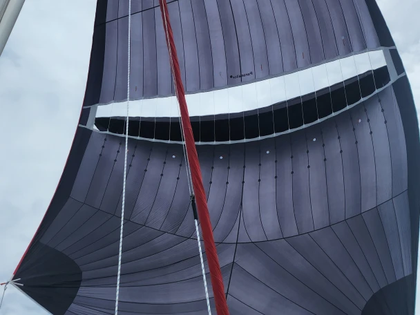 Neel Neel 43 między profesjonalistami a osobami prywatnymi w Carloforte