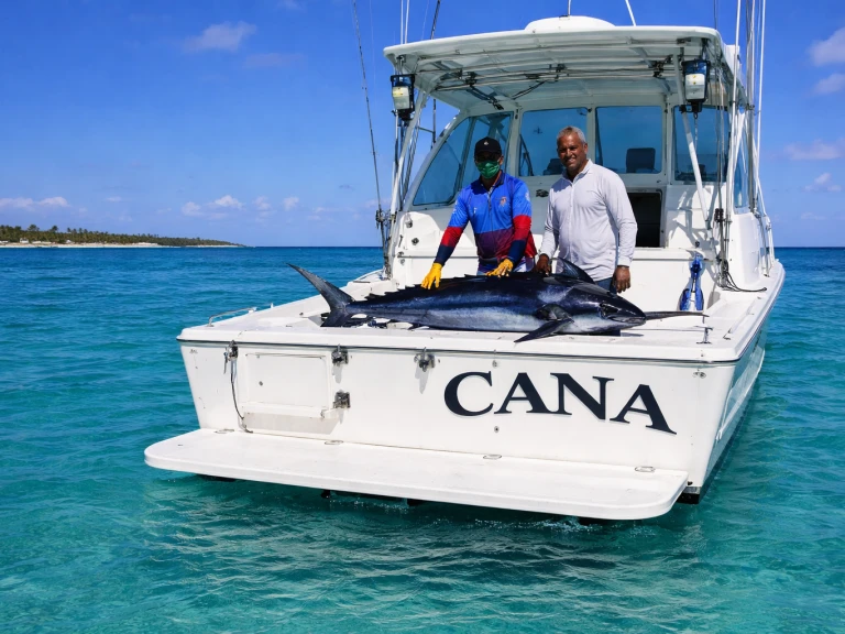 Wynajmij Motorówka z lub bez skippera Custom Made w Bávaro