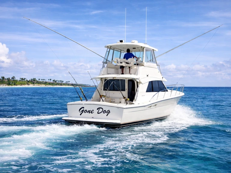 Motorówka do wynajmu w Bávaro w najlepszej cenie