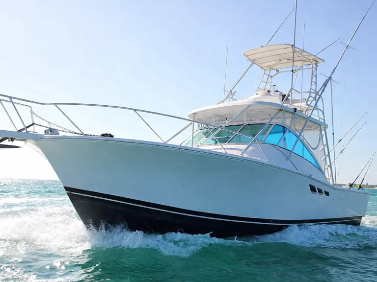 Wynajem Motorówka Custom Made z patentem 