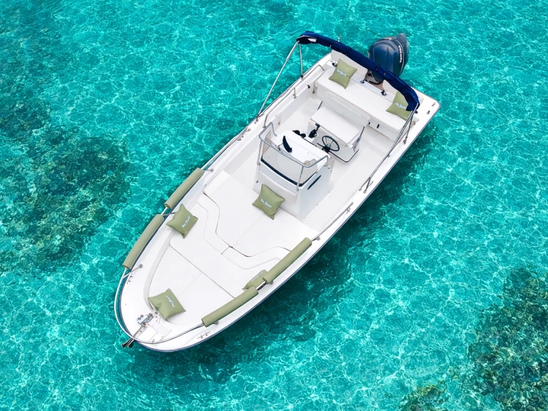 Boston Whaler Boston Whaler 220 Dauntless między profesjonalistami a osobami prywatnymi w La Spezia