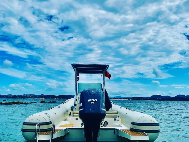 Capelli Tempest 900 między profesjonalistami a osobami prywatnymi w Palau