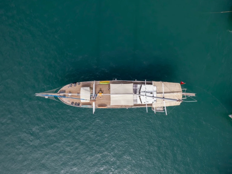 Wynajem Żaglowiec  z patentem 