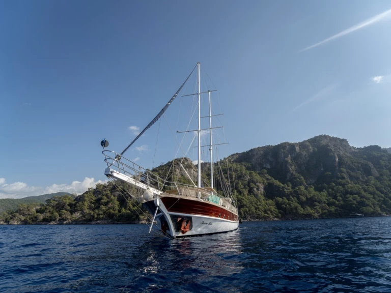 Wynajem Żaglowiec  z patentem 