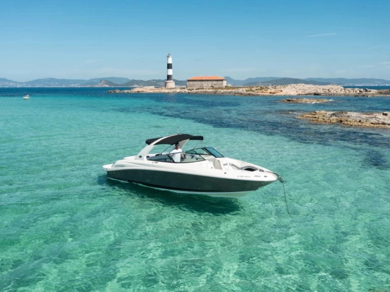 Wynajem Motorówka Sea Ray z patentem 