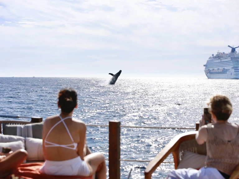 Wynajem łodzi Custom Made 36 w Cabo San Lucas na SamBoat 