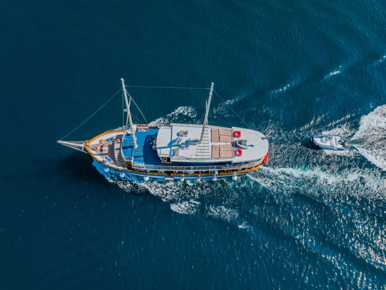 Custom NOVI DAN między profesjonalistami a osobami prywatnymi w Skradin