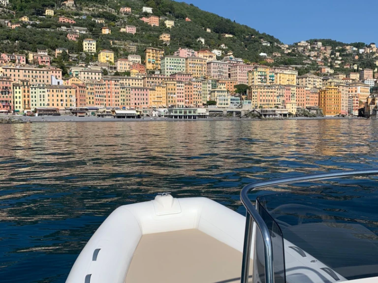 Wynajem łodzi Capelli Tempest 530 w Camogli na SamBoat 