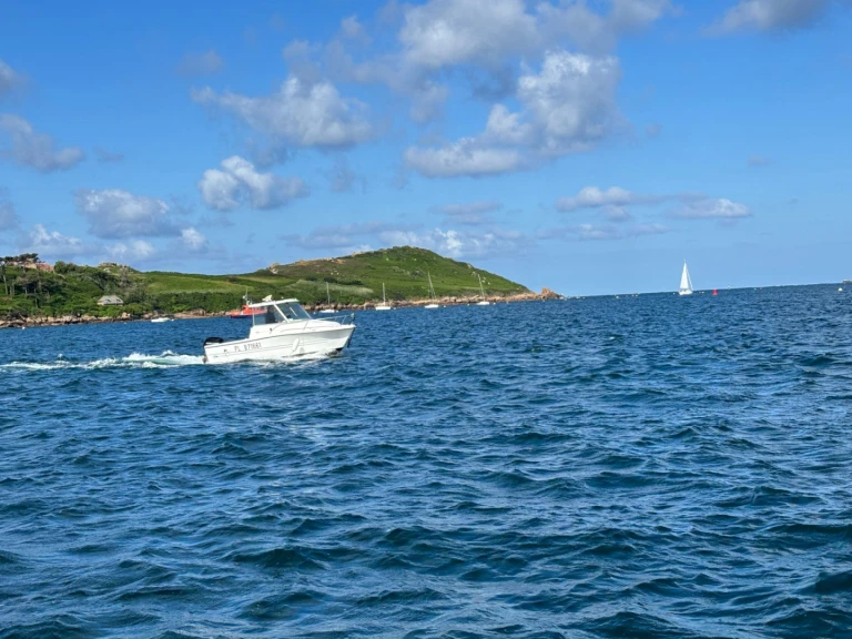 Wynajem w Trébeurden- Sessa Marine SESSA 550 na SamBoat