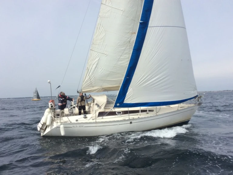 Wynajem łodzi Jeanneau Sun Rise DL w Lorient na SamBoat 