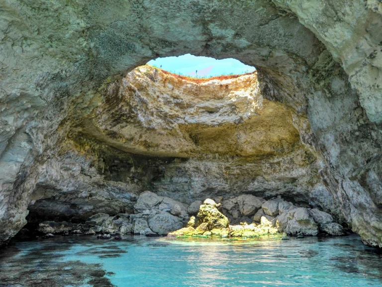 dolphin Dolphin 25 między profesjonalistami a osobami prywatnymi w Otranto