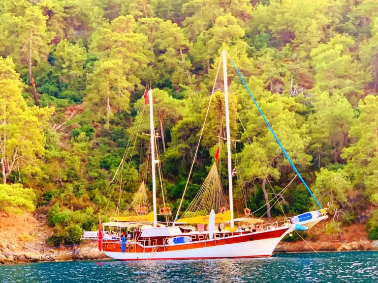 Wynajem Żaglowiec Custom z patentem 