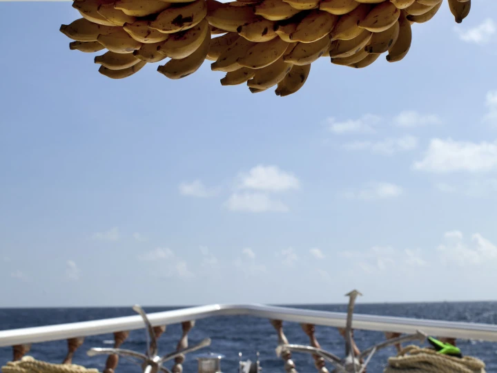 Wynajmij Motorówka z lub bez skippera  w Hulhumale