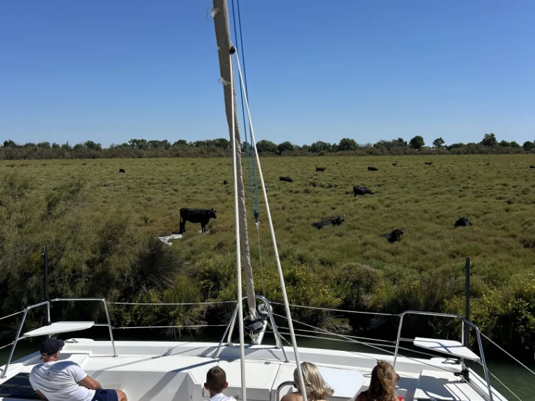 Bali Bali Catspace Voile między profesjonalistami a osobami prywatnymi w Le Grau-du-Roi