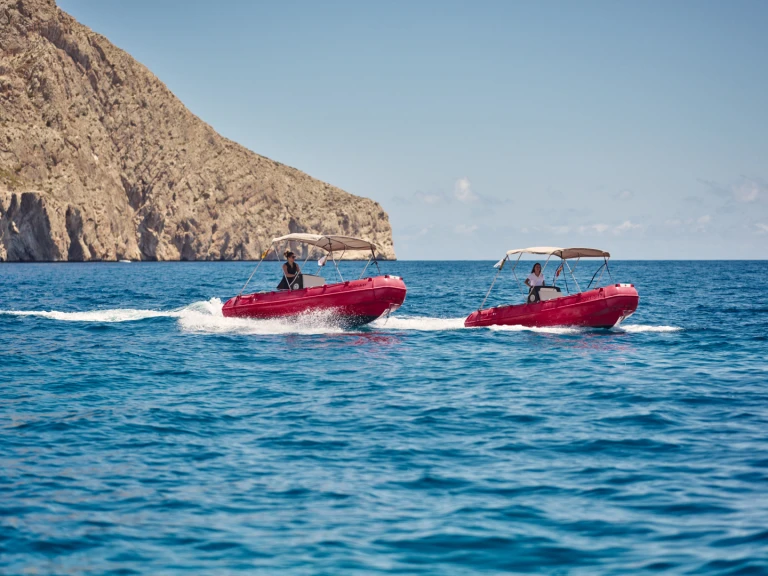 Wynajem łodzi Whaly Whaly 500 w Altea na SamBoat 
