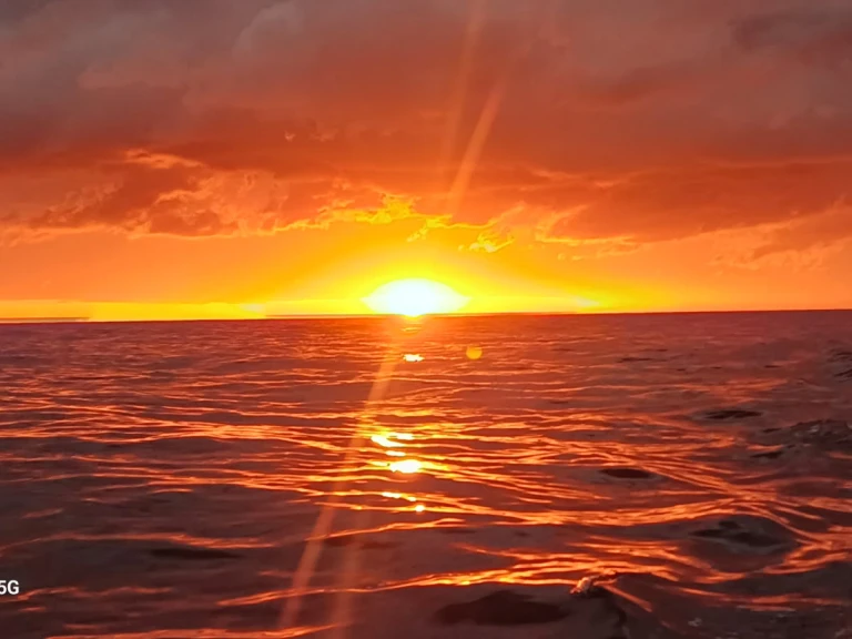 Jeanneau Merry Fisher 925 Fly między profesjonalistami a osobami prywatnymi w Anglet