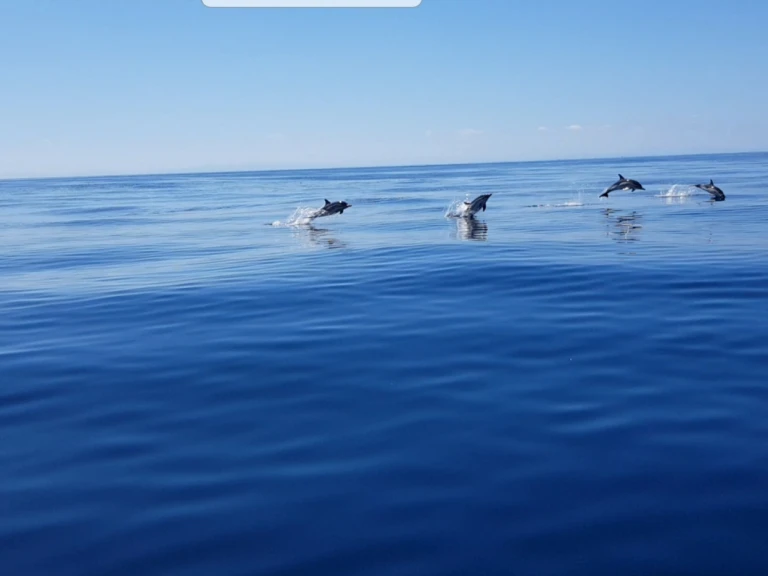 Wynajem w Anglet- Jeanneau Merry Fisher 925 Fly na SamBoat