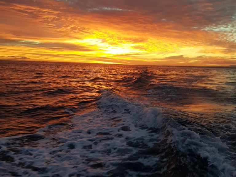 Wynajmij Jeanneau Merry Fisher 925 Fly w Anglet