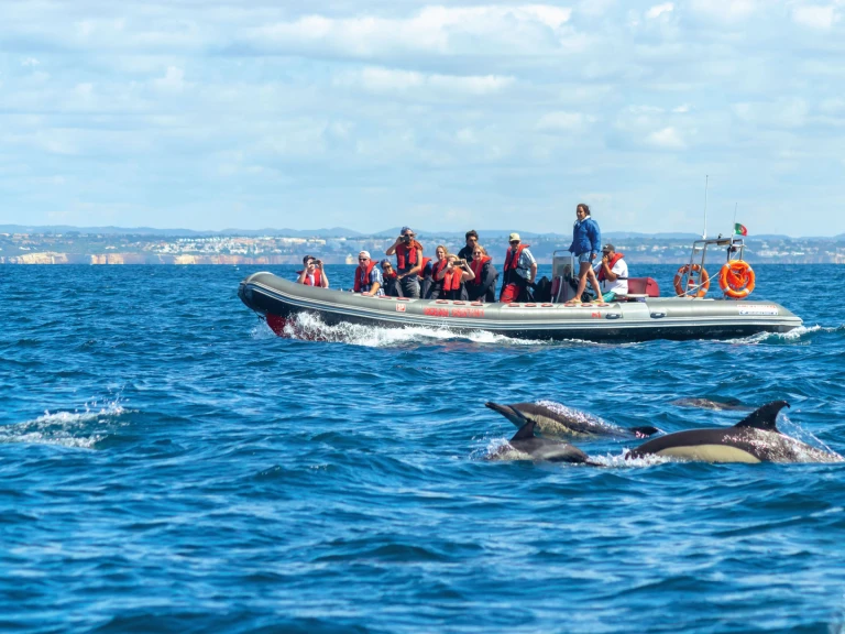 Łódż półsztywna do wynajmu w Lagos w najlepszej cenie