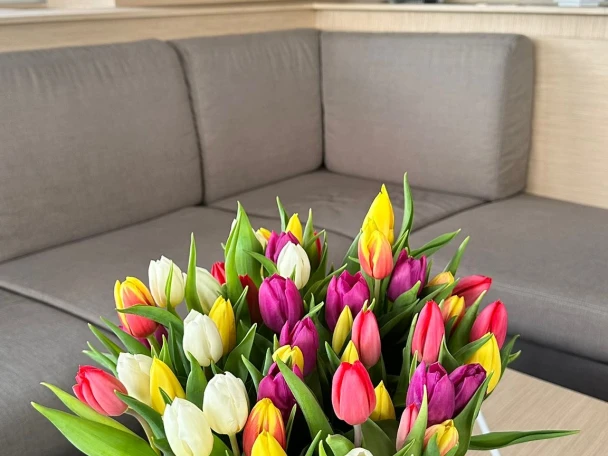 Wynajem łodzi Fountaine Pajot Fountaine Pajot Samana 59 - 6 + 2 cab w Procida na SamBoat 