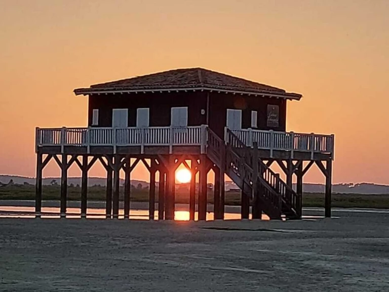 Wynajem Motorówka Quicksilver z patentem 